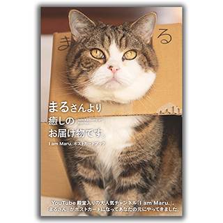 ねこまる様確認ページです タレント猫「まる」の人気の秘密と経歴 | ねこちゃんホンポ
