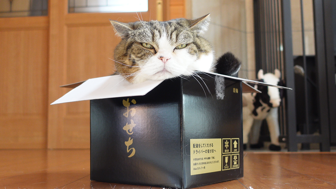 サムネC3702.jpg